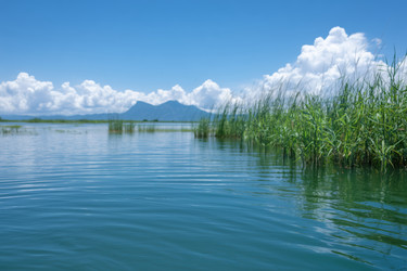 Similar image 22358249