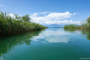 Similar image 22358810