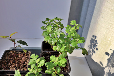 Similar image 22353164