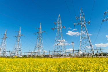 Similar image 22375996