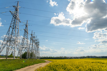 Similar image 22375999