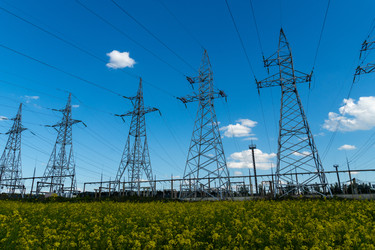 Similar image 22376000