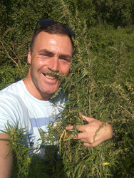 Similar image 22376018