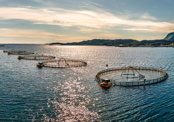 Similar image 22359738