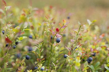 Similar image 22359740