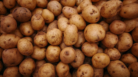 Similar image 22359746