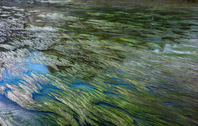 Similar image 22359747