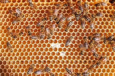 Similar image 22359750