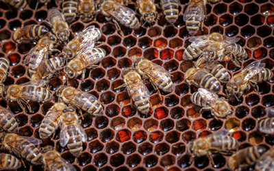 Similar image 22359756