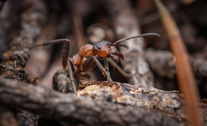 Similar image 22359763