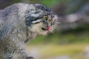 Similar image 22359766