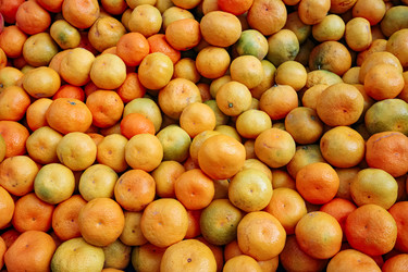 Similar image 22359773