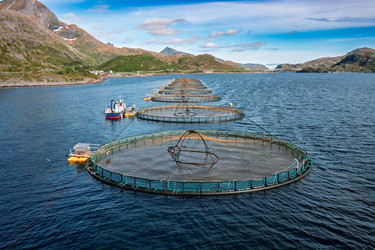 Similar image 22359776