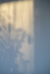 Similar image 22352988