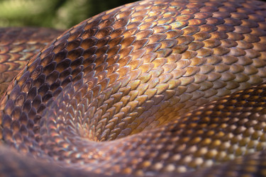 Similar image 22376101