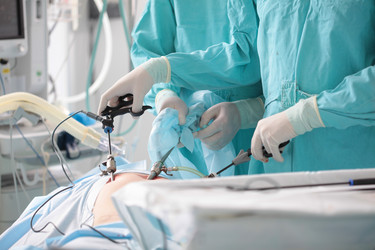 Similar image 22377881