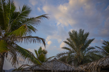 Similar image 22377891