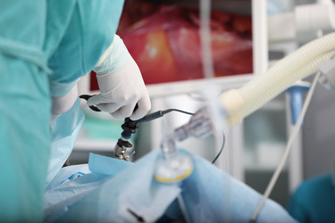 Similar image 22377896