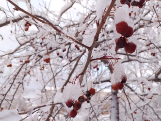 Similar image 22377822