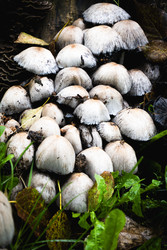 Similar image 22377839