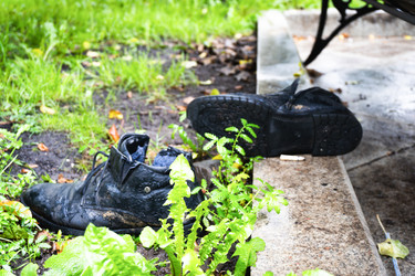 Similar image 22377841