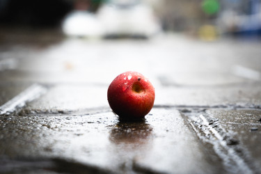 Similar image 22377842