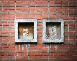 Similar image 22377846