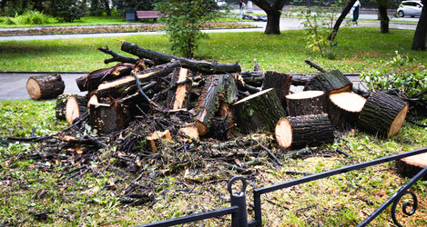 Similar image 22377848