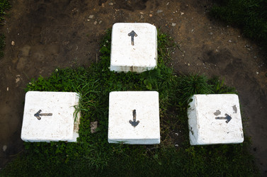 Similar image 22377853