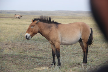 Similar image 22364025