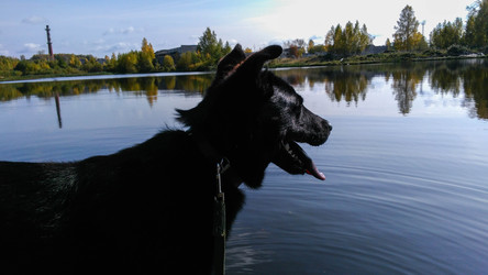 Similar image 22364026