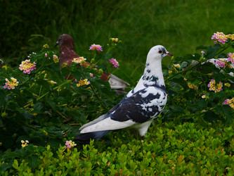 Similar image 22364027