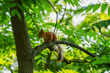 Similar image 22364028