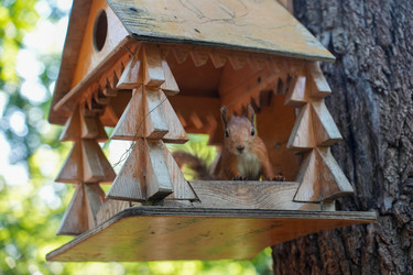 Similar image 22364038