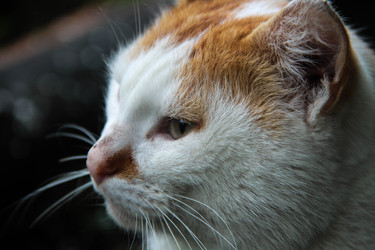 Similar image 22364039