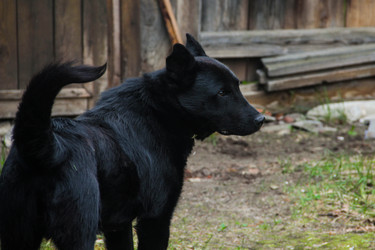 Similar image 22364040