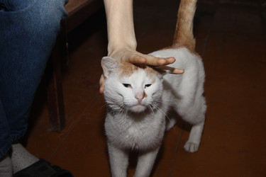 Similar image 22364041