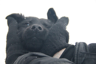 Similar image 22364042