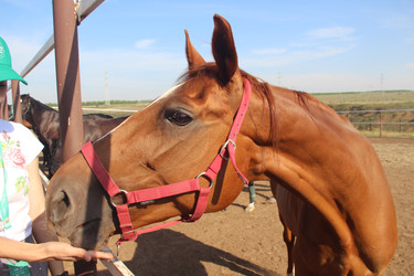 Similar image 22364044