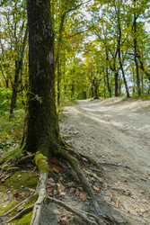 Similar image 22364054