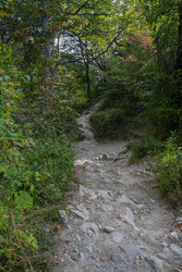 Similar image 22364056