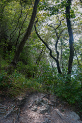 Similar image 22364057