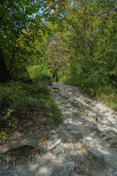 Similar image 22364058