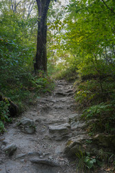 Similar image 22364059