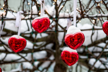 Similar image 22358861