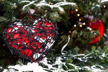 Similar image 22358869