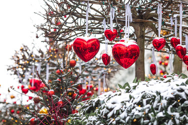 Similar image 22358874