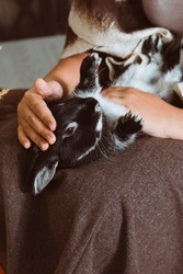 Similar image 22353199