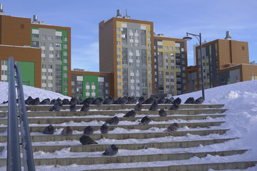 Similar image 22359187