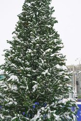 Similar image 22360507